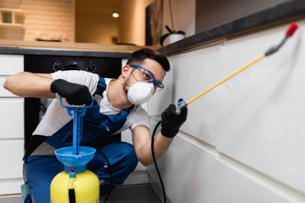 Pest Prevention Services in Highland Park, IL