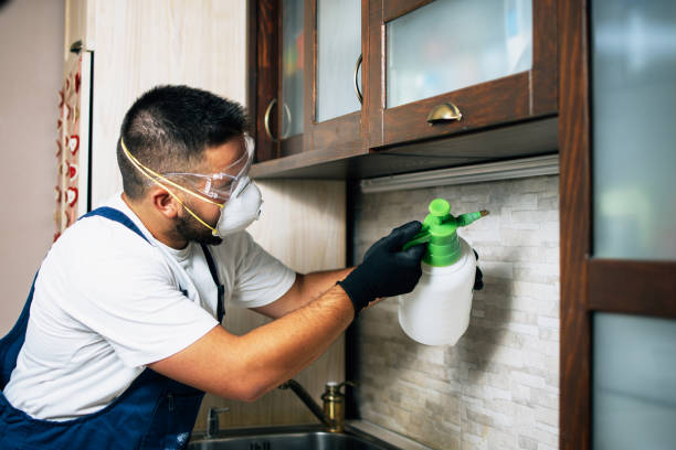 Best Pest Prevention Services  in Highland Park, IL