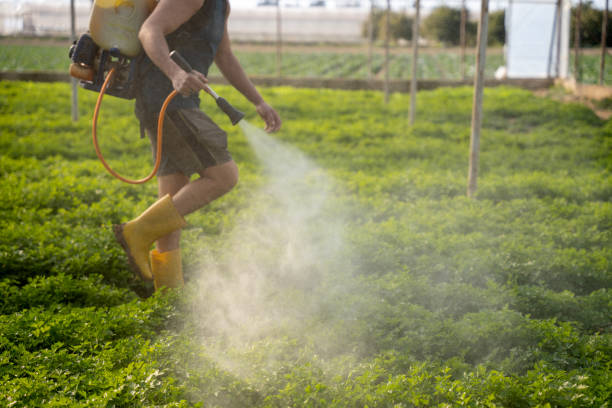 Best Affordable Pest Control Services  in Highland Park, IL